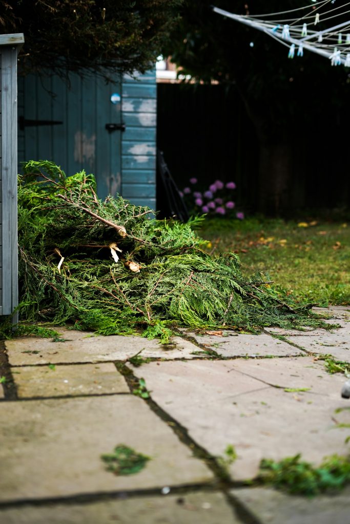 Storm-broken branches scattered across a patio