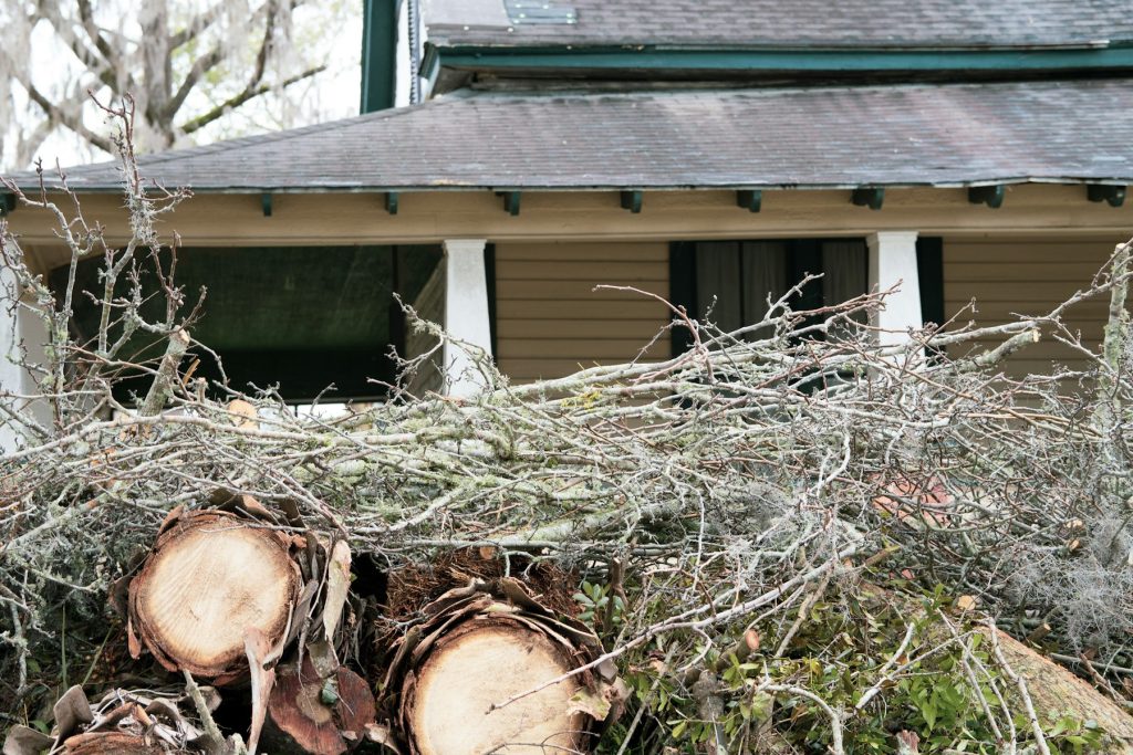Cut logs and branches piled up during storm cleanup